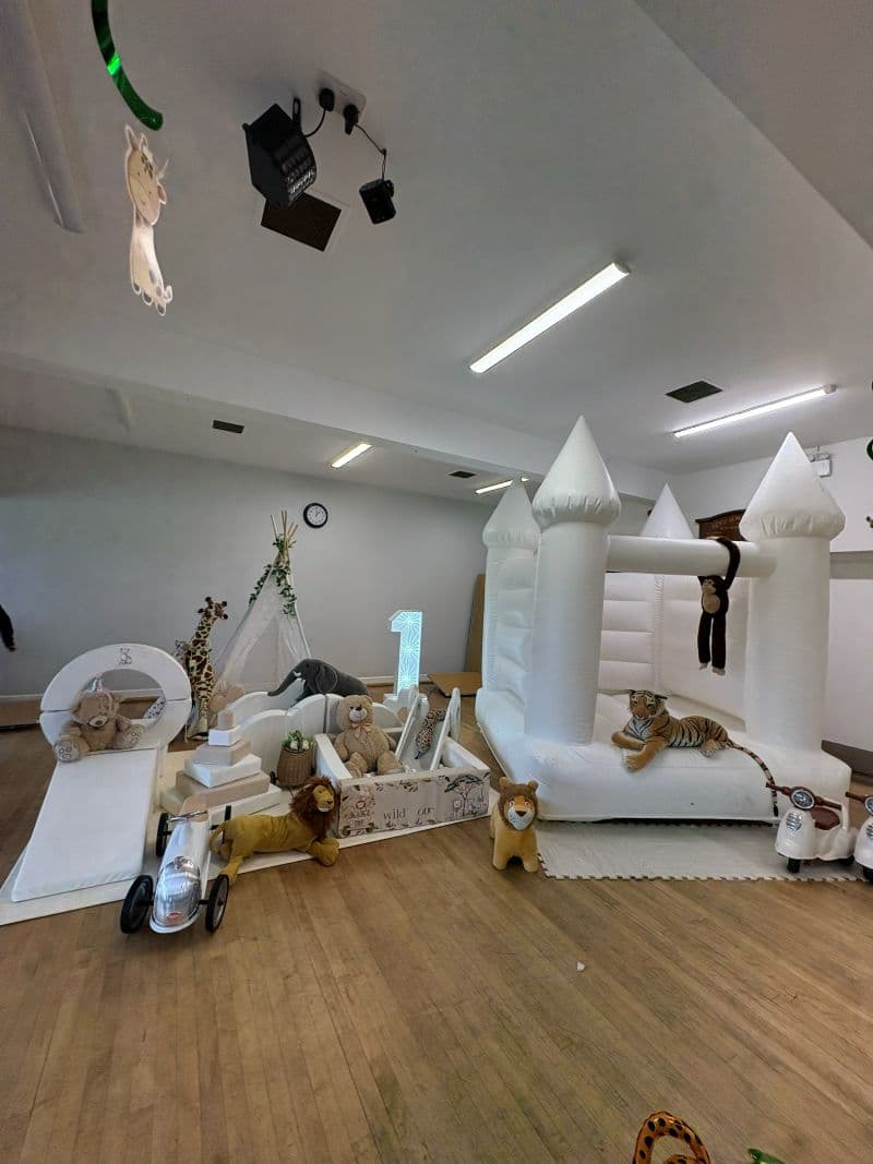 Joint Wild One Birthday Party