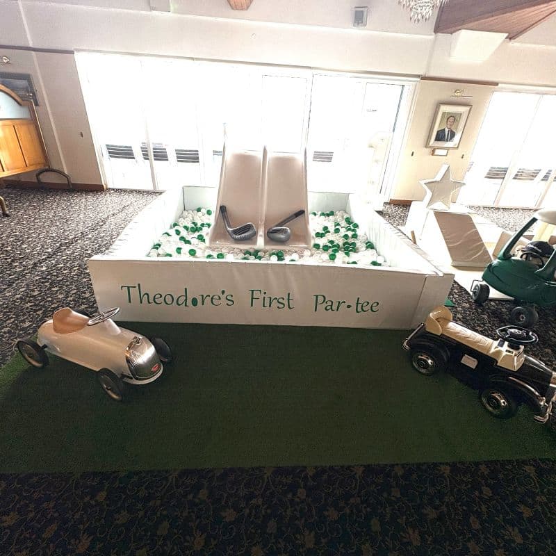 Theodore's First Partee